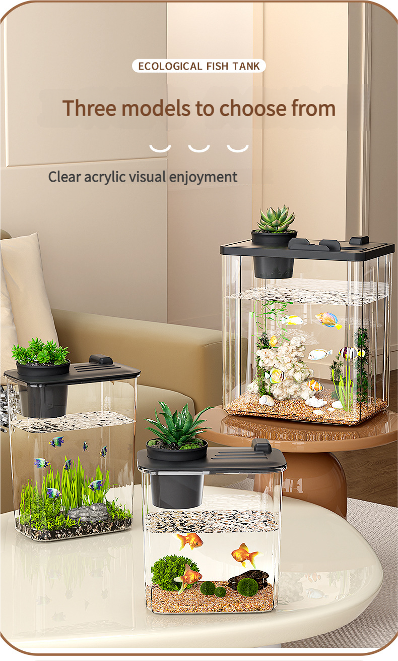 All - in - One Transparent Fish Tank: Filter, Oxygenator & Light for Home/Office, Small Desktop Eco - Aquarium - Afrilinker