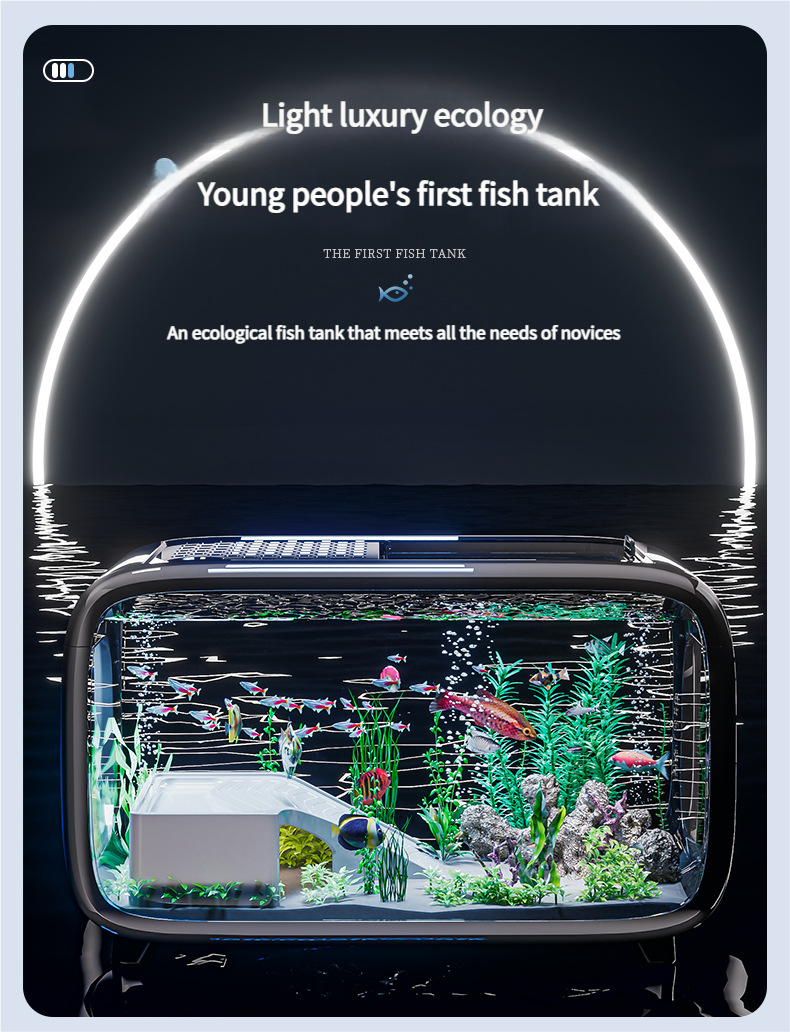 Premium - Selected Luxury Fish Tank: Transparent Covered Home Aquarium for Living Room, Ideal for Ecological Scaping and Entryway Decoration - Afrilinker