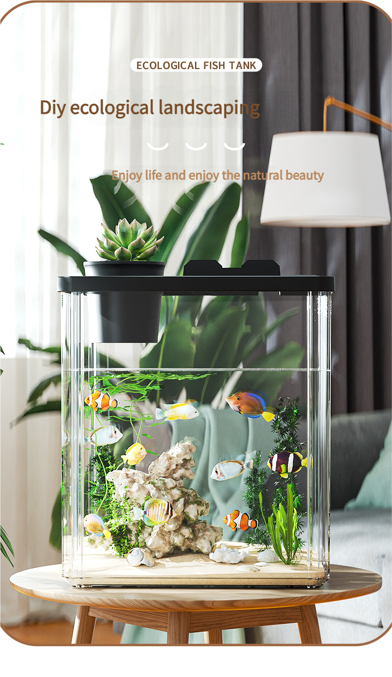 All - in - One Transparent Fish Tank: Filter, Oxygenator & Light for Home/Office, Small Desktop Eco - Aquarium - Afrilinker