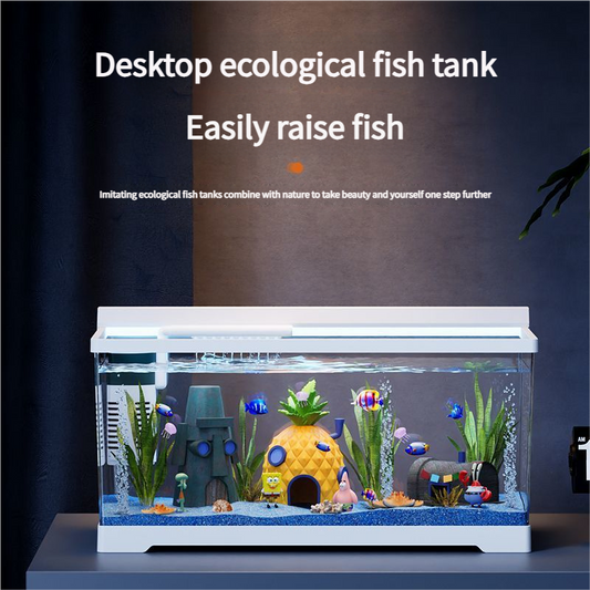 Plastic Clear Fish Tank for Lazy Owners: Goldfish Tank for Living Room, Balcony, Desktop - Small & Medium Eco - Aquascape Home Aquarium - Afrilinker
